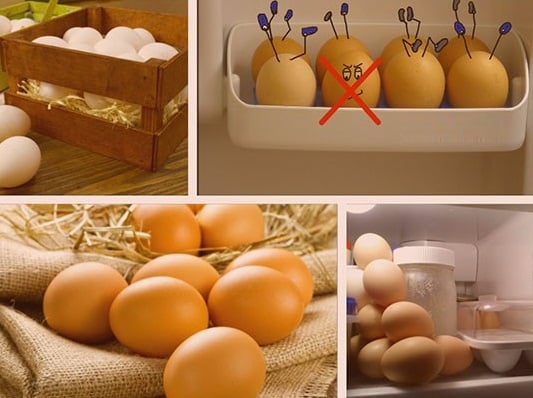 Проверка яиц на свежесть