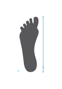 Как определить длину стопы для кроссовка